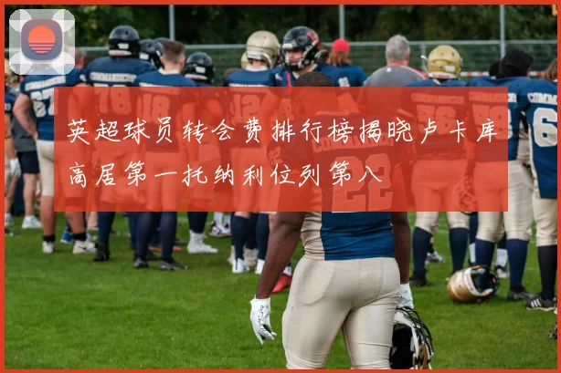 英超球员转会费排行榜揭晓卢卡库高居第一托纳利位列第八