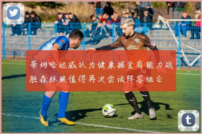 蒂姆哈达威认为健康掘金有能力战胜森林狼值得再次尝试阵容组合